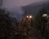 Au Portugal, de violents incendies ravagent des habitations