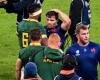 Comment la FFR a aidé les Springboks à battre les Blues…