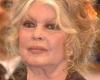 Brigitte Bardot parle de ses dernières volontés et quelque chose a changé…