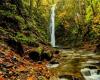 Le parc Goldstream en Colombie-Britannique possède deux chutes d’eau en cascade