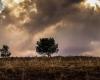 La Gard placée en alerte jaune pour pluie, inondations et orages