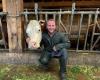 Des vaches parées de leurs plus beaux atours pour la descente de Lignières depuis les Alpes