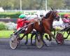 Misty Green préserve son invincibilité dans le Prix Hekate à Vincennes