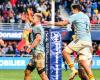 Top 14 – Perpignan officialise la prolongation de Jacobus Van Tonder