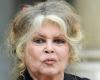 INTERVIEW – Brigitte Bardot fête ses 90 ans et révèle quel serait son plus beau cadeau d’anniversaire