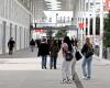 Quinze jours avant leur rentrée universitaire, ils apprennent que leur formation est annulée cette année