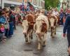 Grands événements et manifestations à Annecy & Haute-Savoie