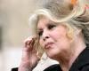 La demande de Brigitte Bardot pour ses 90 ans