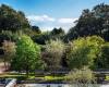 Des millions de Belges ont trop peu de nature dans leur quartier