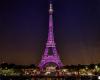 La Tour Eiffel et trois autres lieux de Paris illuminés en rose, les images