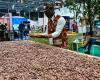 La Côte d’Ivoire fixe le prix du cacao à un niveau record