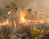 SOALALA – Le noyau dur épargné par les incendies lors de l’incendie du parc national de Baly Bay