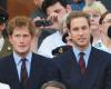 William et Harry invités à des soirées extrêmes ? « Les fêtards… »