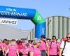 La Ferté-Bernard. 1 000 personnes attendues samedi pour la marche