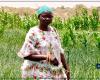 SÉNÉGAL-AGRICULTURE-PROFIL / Maguette Ndiaye, passionnée d’agriculture et militante de la cause paysanne – Agence de presse sénégalaise