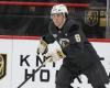 Mathieu Cataford a beaucoup appris de son premier camp avec les Golden Knights