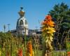 Nantes élue meilleure commune française pour la biodiversité 2024 !