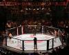 Comment regarder l’UFC 307 en direct – Forbes Advisor INDE