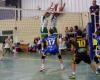 Volley-ball amateur (National 3 Hommes). Tarascon/Foix souffre mais ne brise pas