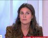 Apolline de Malherbe choquée par les insultes contre Arthur sur les réseaux sociaux (ZAPTV)