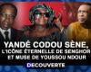 DÉCOUVERTE N°19 – Yandé Codou Sène, l’éternelle icône de Senghor et égérie de Youssou N’dour