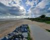 il est à nouveau interdit de ramasser des moules sur cette plage du Calvados