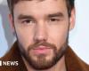 L’ancien chanteur des One Direction, Liam Payne, décède à l’automne depuis le balcon de son hôtel