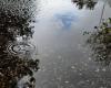 Rains and floods. Météo France places Tarn-et-Garonne on orange alert