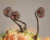 Le monde de la miniature est fascinant, voici les plus belles images capturées cette année au microscope – Édition du soir Ouest-France