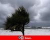 après une météo exceptionnellement douce en Belgique et une tempête dévastatrice dans le sud de la France, de quoi craindre pour les vacances