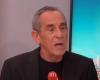 Thierry Ardisson raconte comment Audrey Crespo-Mara a changé sa vie