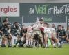 Top 14. Section Paloise – Stade Toulousain: all that for nothing?