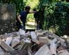 dans le Marais Poitevin, du bois de chauffage pour couper à moindre coût