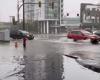 Inondations en Colombie-Britannique : du saumon dans les rues