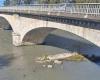 le jeune homme a disparu au bord de la Garonne entre Saint-Gaudens et Miramont-de-Comminges