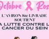 Sainte-Livrade-sur-Lot. Octobre Rose : L’Aviron du Livradais se mobilise