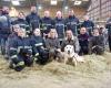 Les pompiers se forment pour sauver les animaux de la ferme afin de mieux intervenir lors d’inondations ou d’incendies