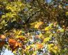 Bulletin météo. Quelle météo pour ce dimanche 27 octobre dans les Hauts-de-France ?