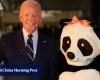 Jill Biden s’habille en panda géant pour le dernier Halloween à la Maison Blanche