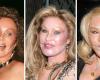 Galerie de transformation de Jocelyn Wildenstein : photos avant et après