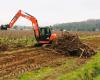 les plans d’arrachage des vignes lancés à plein régime, 9 000 hectares vont disparaître