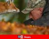 Face à face entre Maxime Bachely, photographe animalier de Maubray, et un renard