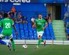 2 comebacks se profilent pour les Verts !