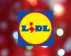 Voici 3 aspirateurs Silvercrest proposés à des prix plus que compétitifs sur le site officiel de Lidl