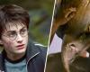 Les fans d’Harry Potter ne sont pas gênés par l’annulation officielle – Harry Potter