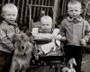 Chez Paris Photo, August Sander et ses 600 portraits d’Allemands