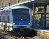 Bagarre dans un RER : des mineurs blessés à coups de hache