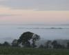 Pourquoi ce brouillard persiste et signe en Loire-Atlantique