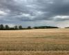 chez certains agriculteurs de l’Indre, le contrôle administratif unique inspire la méfiance