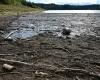 Après les grandes inondations en Haute-Loire, des tonnes de bois à évacuer vers le barrage de Lavalette